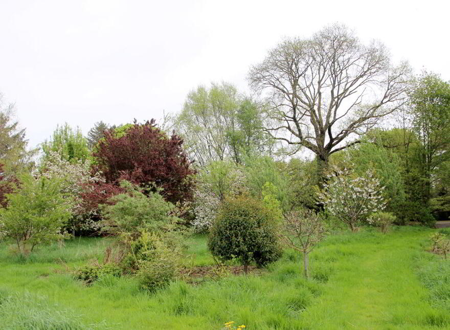Barony House, The Meelaghans, Tullamore, Offaly, R35H7T2