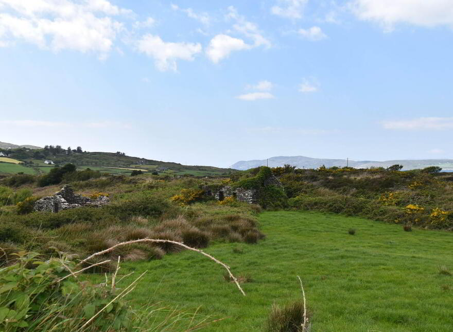 Dunkelly Middle, Goleen, P81CC86