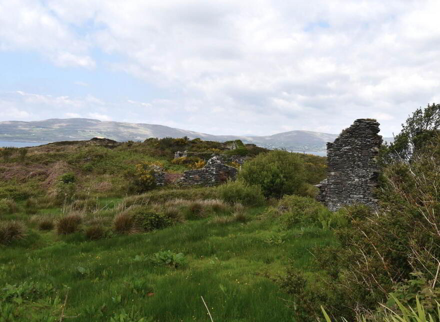 Dunkelly Middle, Goleen, P81CC86