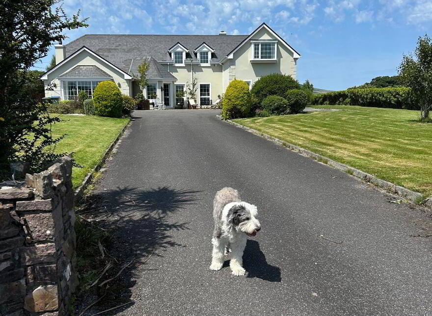 Fiúise, Milltown, Tralee, Dingle photo