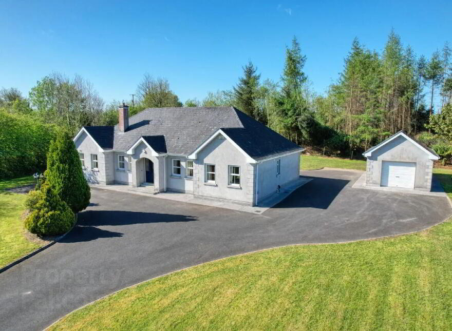 Townagh, Ballinamuck, N39F668 photo