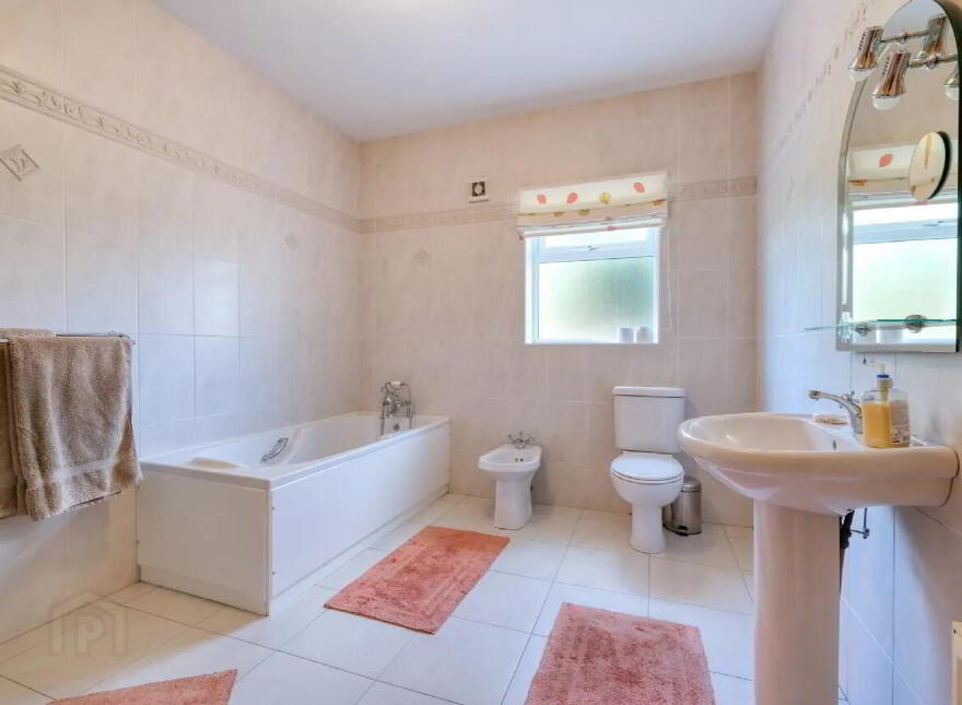 Townagh, Ballinamuck, N39F668