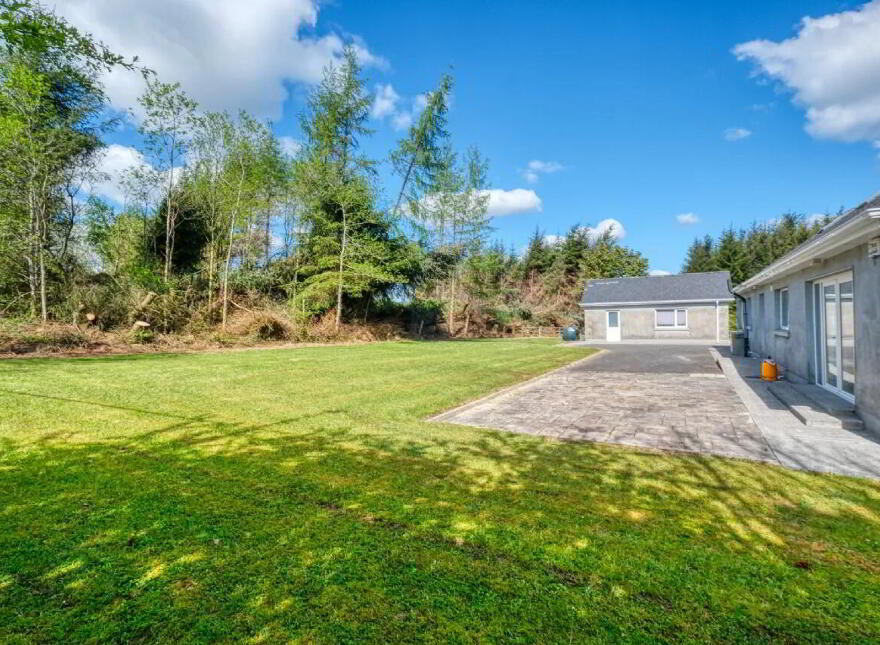 Townagh, Ballinamuck, N39F668