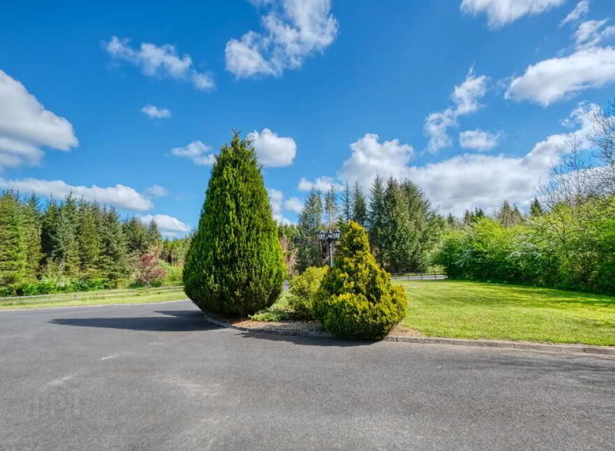 Townagh, Ballinamuck, N39F668