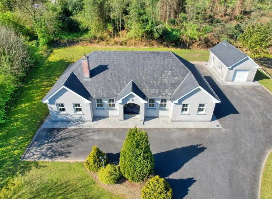 Townagh, Ballinamuck, N39F668