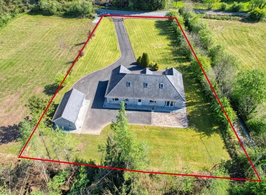 Townagh, Ballinamuck, N39F668