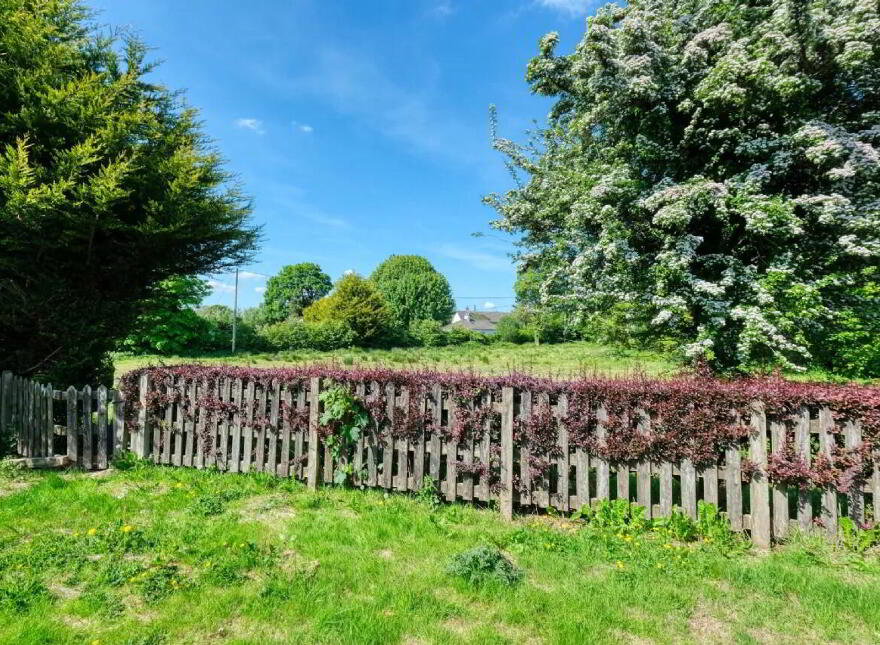 Cloonbalt, Drumlish Road, N39NF16