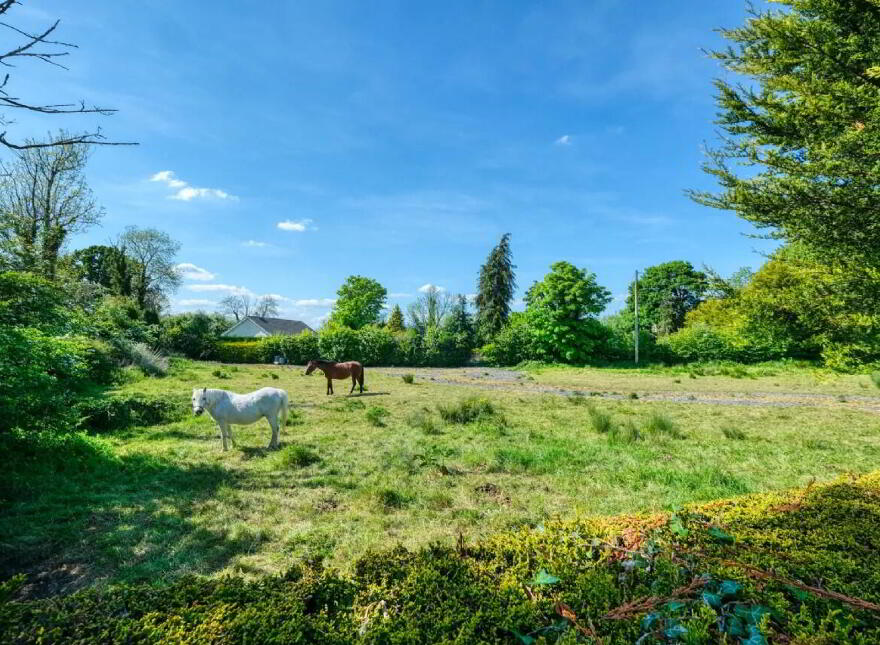 Cloonbalt, Drumlish Road, N39NF16