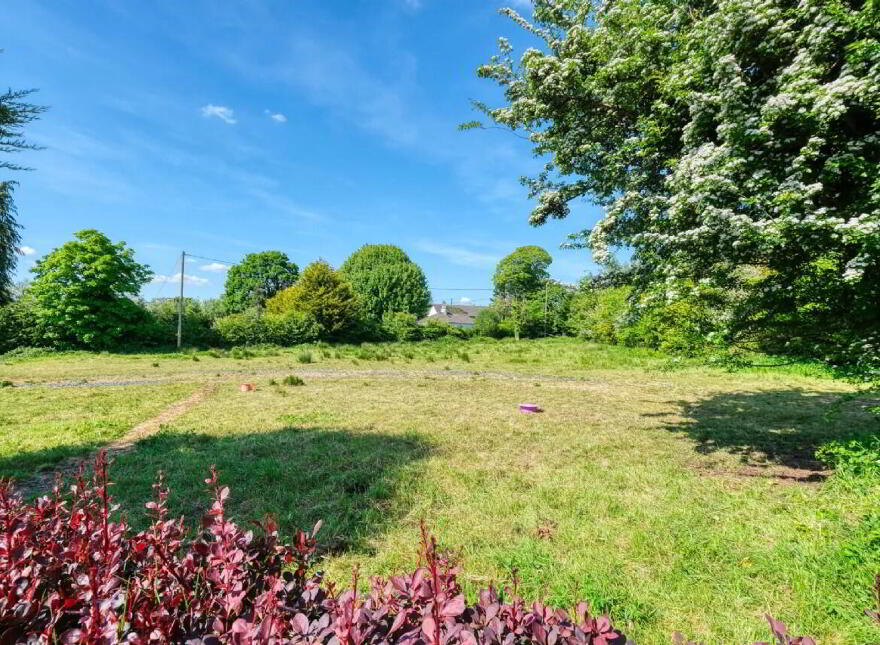 Cloonbalt, Drumlish Road, N39NF16