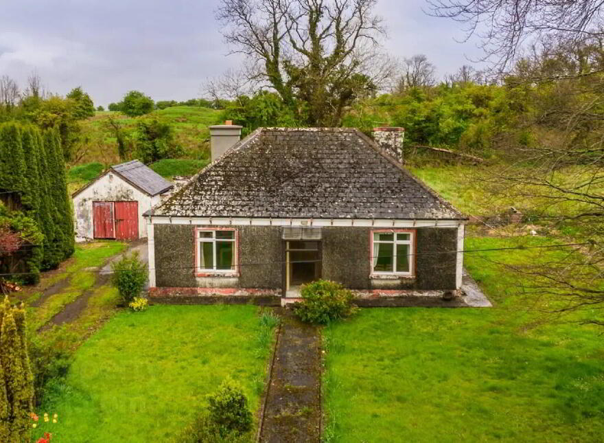Ballymulrennan, Castlerea, F45XN75 photo