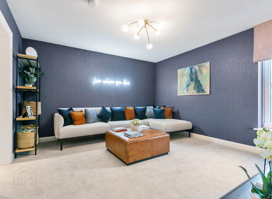 The Boston Fern, Ferndene, Dundonald, Belfast