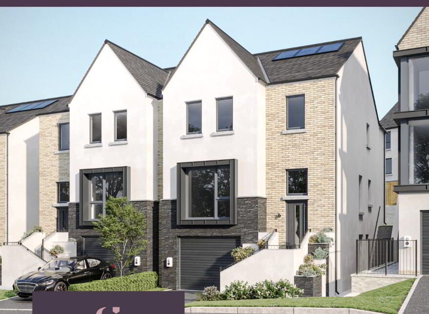 The Boston Fern, Ferndene, Dundonald, Belfast