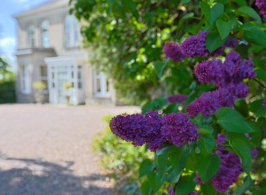 The Old Rectory, 8 Kilmacanty Road, Kilmore, Armagh, BT61 8NH