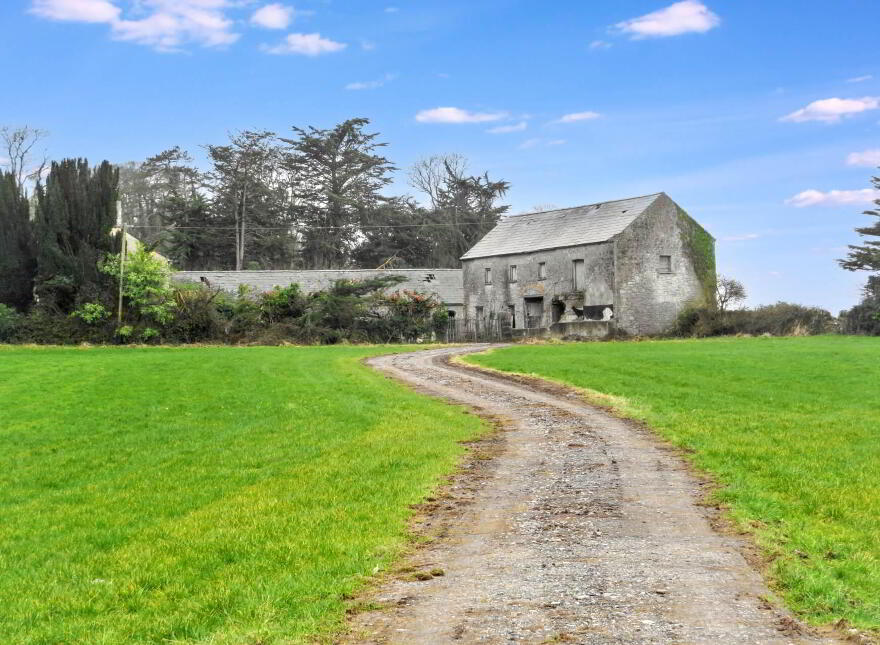 Deerpark, Charleville, P56Y938