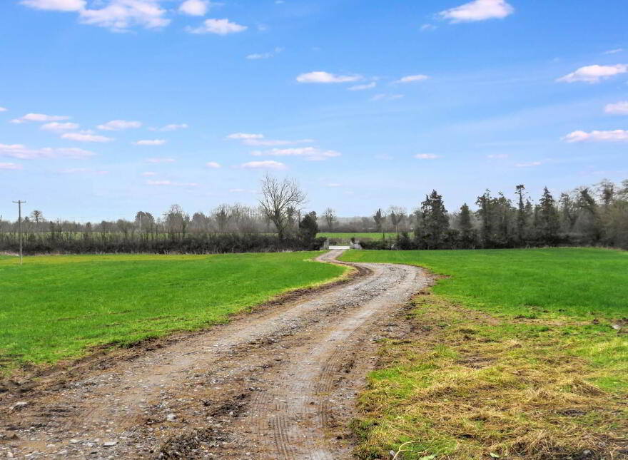 Deerpark, Charleville, P56Y938