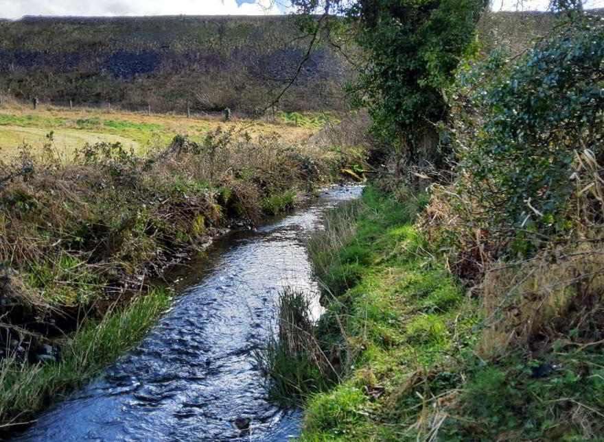 3 ACRES Knockmooney, Slane