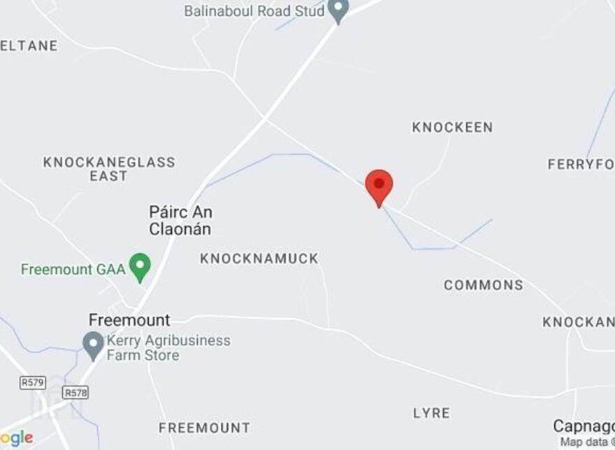 Ballinla, Freemount, Charleville