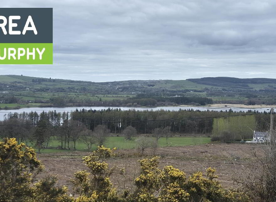 Blackrock, Blessington photo
