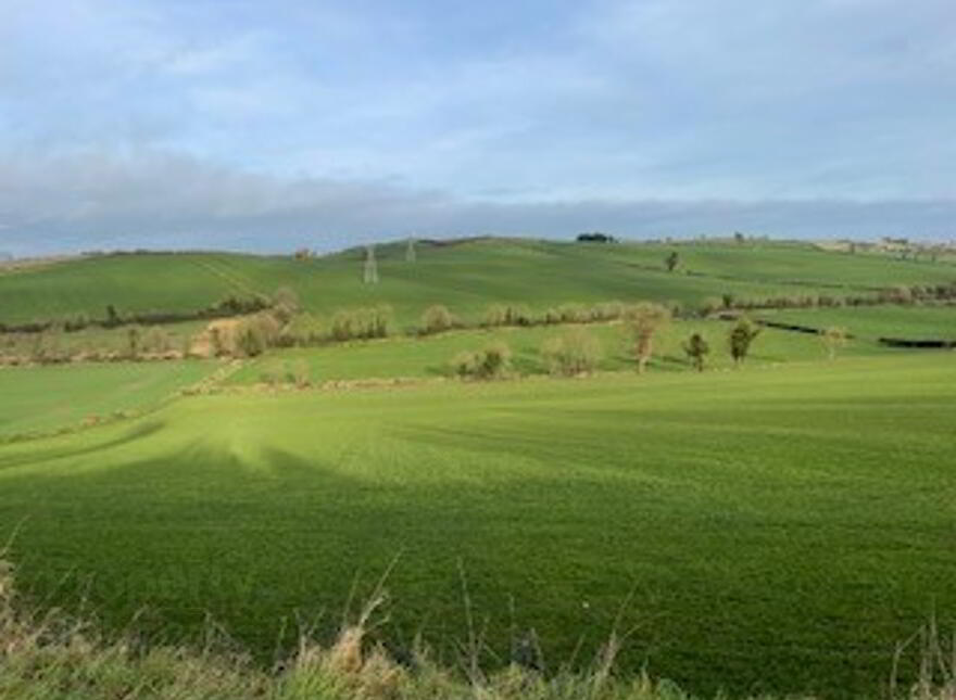 Lands At Anaglog, Ardee, Folio Lh14638f, Ardee photo