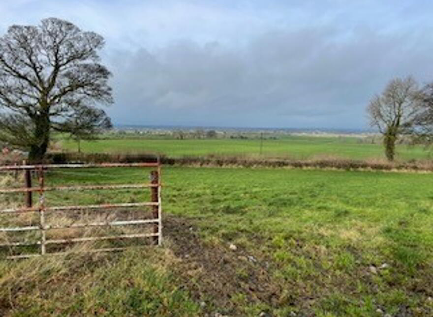 Small Parcel Of Land At Millockstown, Ardee, Folio Lh10544, Ardee photo