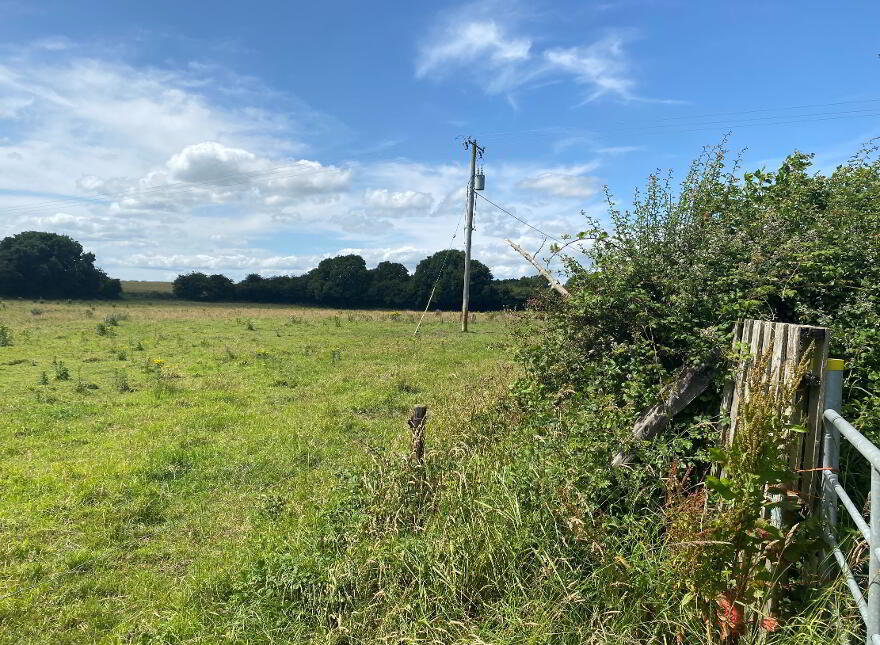 Charleville, Ardee