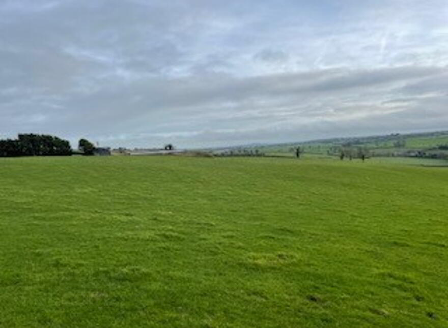 Lands & Farm Buildings At Millockstown, Ardee, Folio Lh5095, Ardee photo