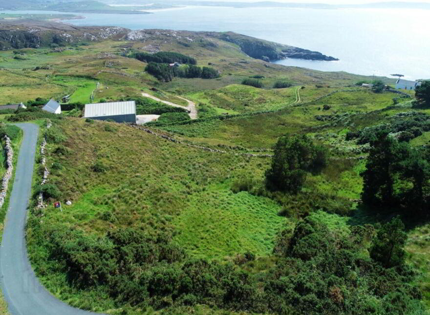 Falcorrib, Dungloe