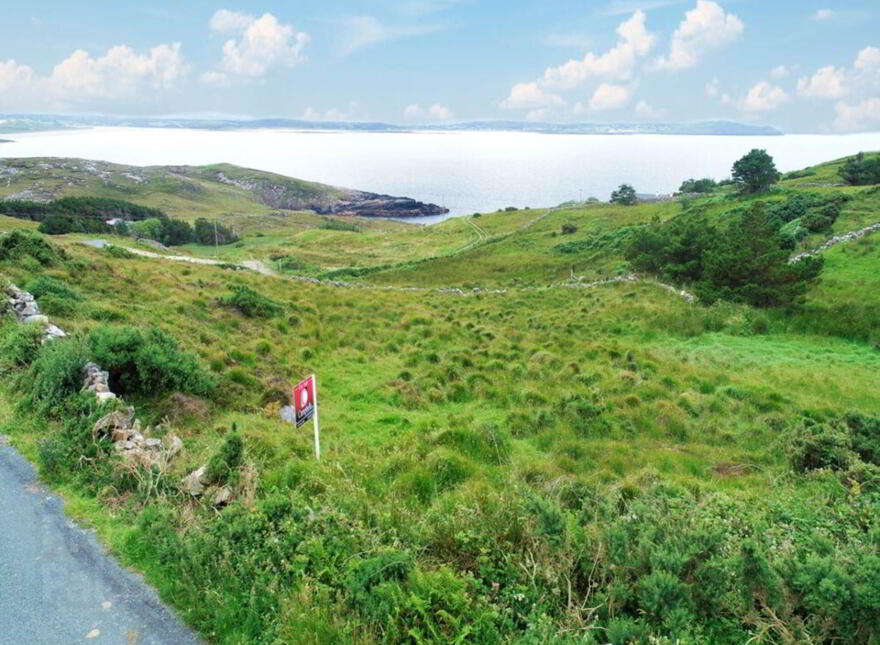 Falcorrib, Dungloe photo