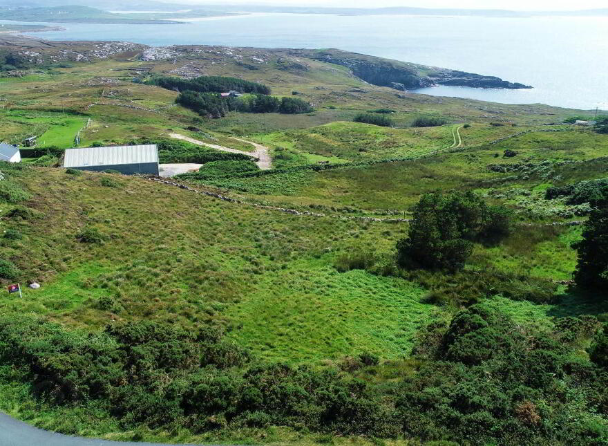 Falcorrib, Dungloe