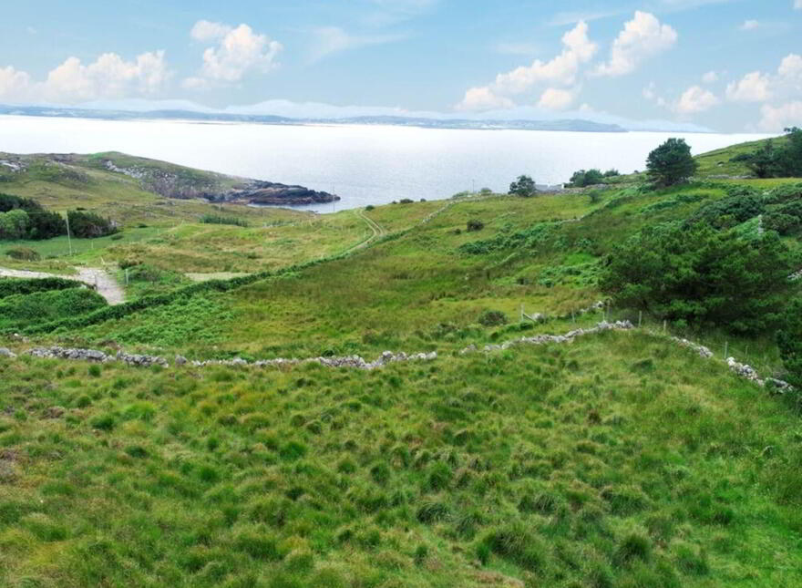 Falcorrib, Dungloe