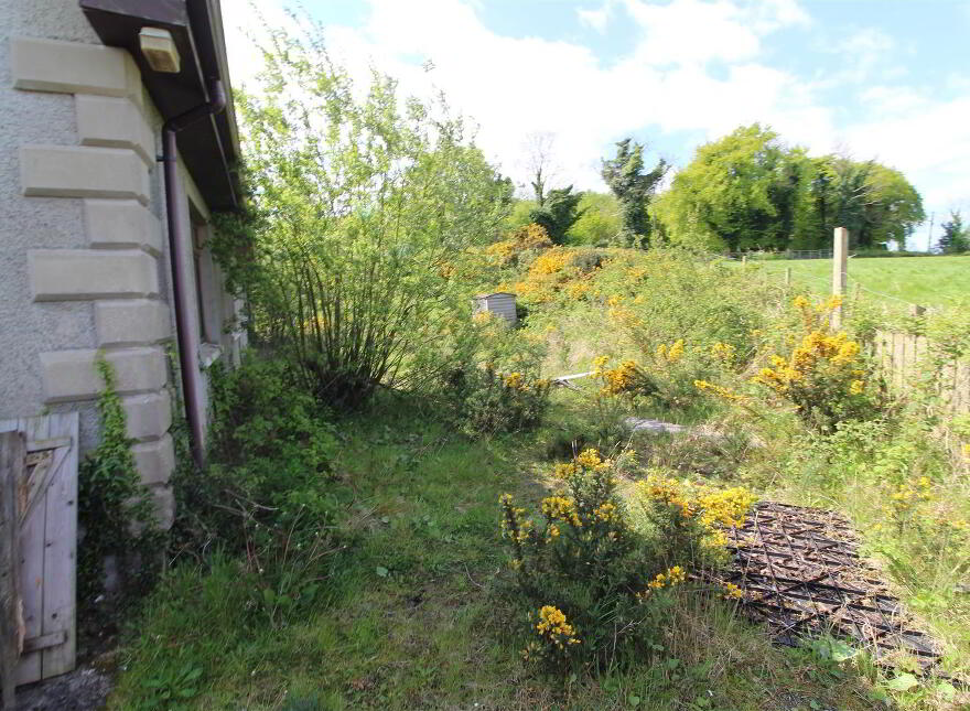 3 Tareesh Lane, Annacloy, Downpatrick, BT30 8JN
