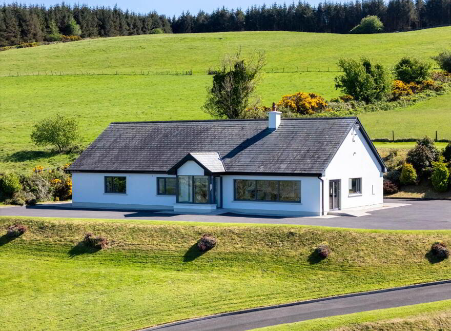 Ballymoylan, Portroe, Nenagh, E45RD35 photo