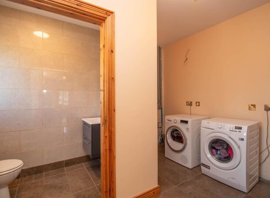 Raheelan, Belturbet, H14A497