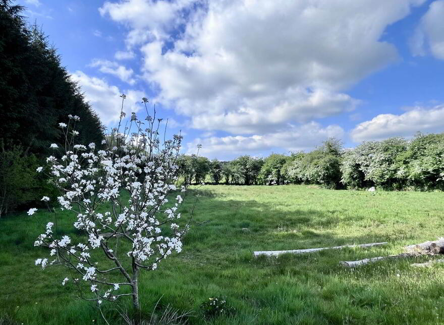 Knockawaddra, Rossmore, Clonakilty, P85E278