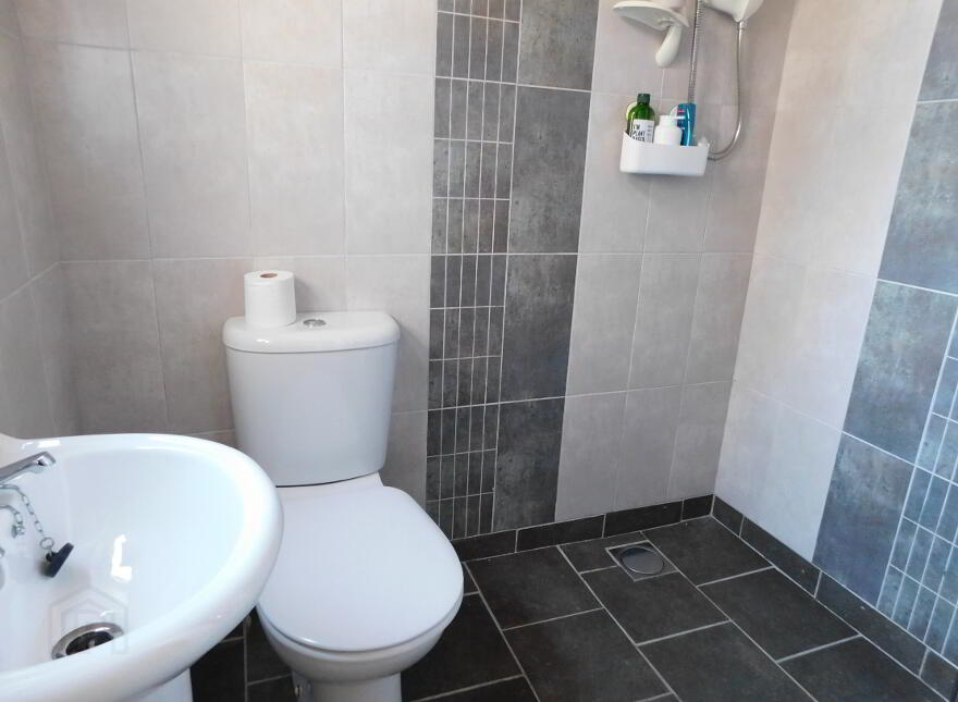 39 Mc Clay Park, Omagh, BT79 0DF