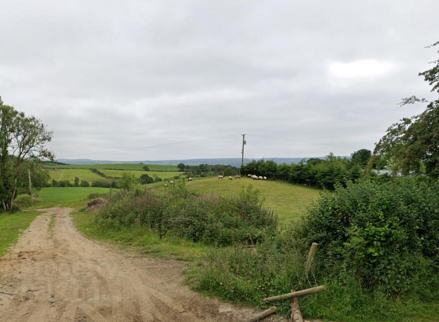 Cavan Upper, Killygordon photo