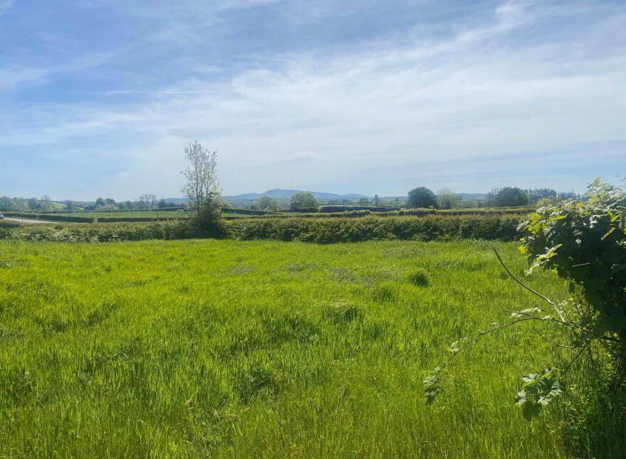Approx 35m South East Of, 155a Magheraknock Road, Ballynahinch, BT24 8QU