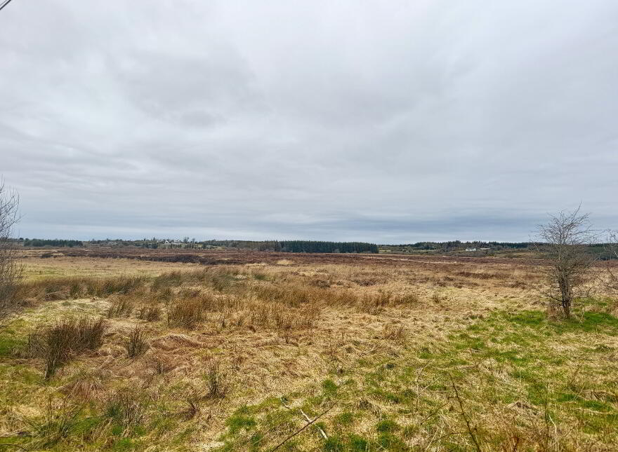 177 ACRES Castlerea, Castlerea photo