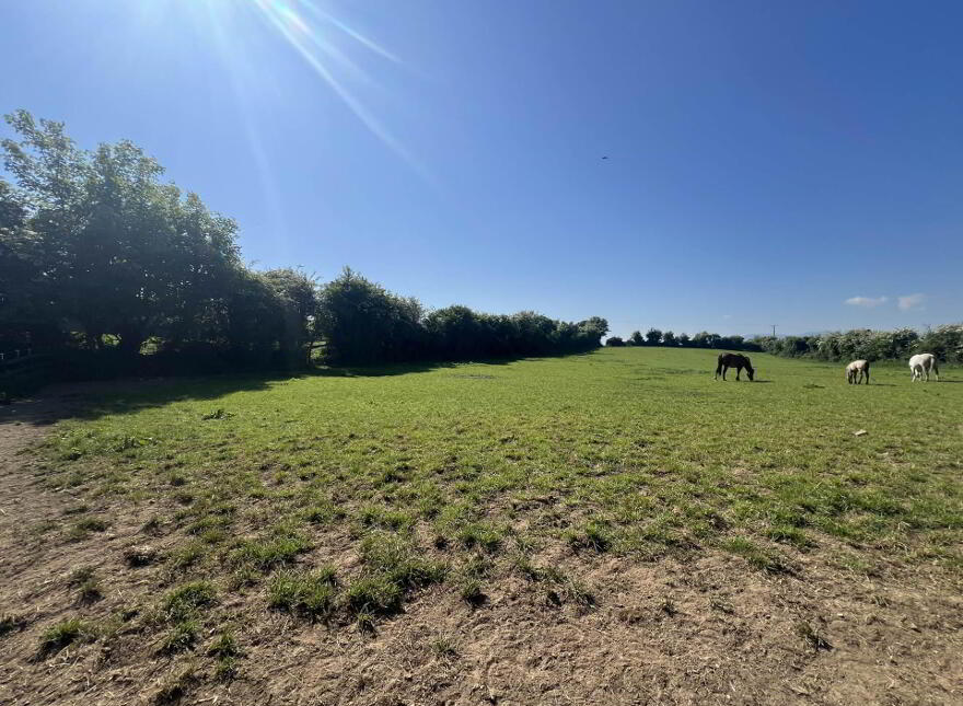 Brickfield Stud, Grange, Clonmel, E91HF98