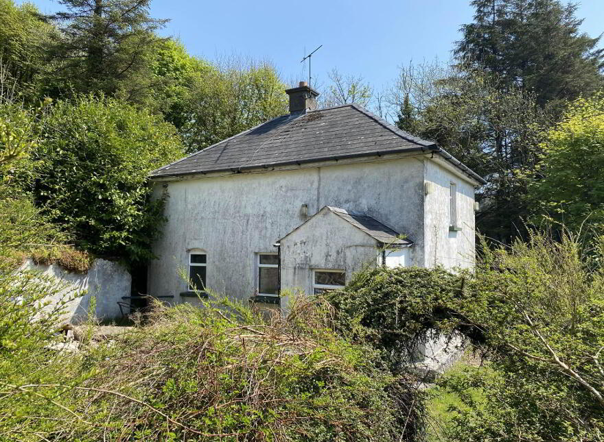 Curreeney, Kilcommon, Thurles, E41VP20 photo