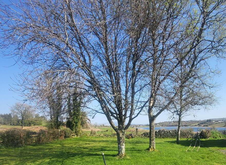 3 Loughbran Cottages, Grange, Carrick On Shannon, N41F8X0