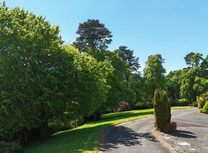 4 Retreat Close, Omagh, BT79 0HW