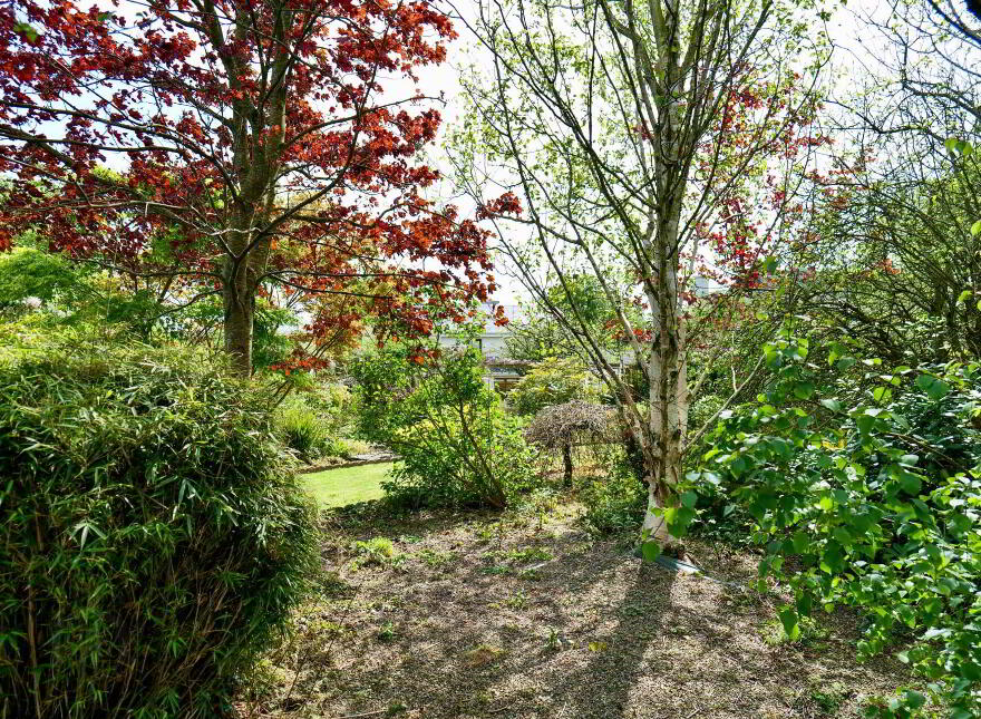 Smiths Road, Charleville, P56AK24