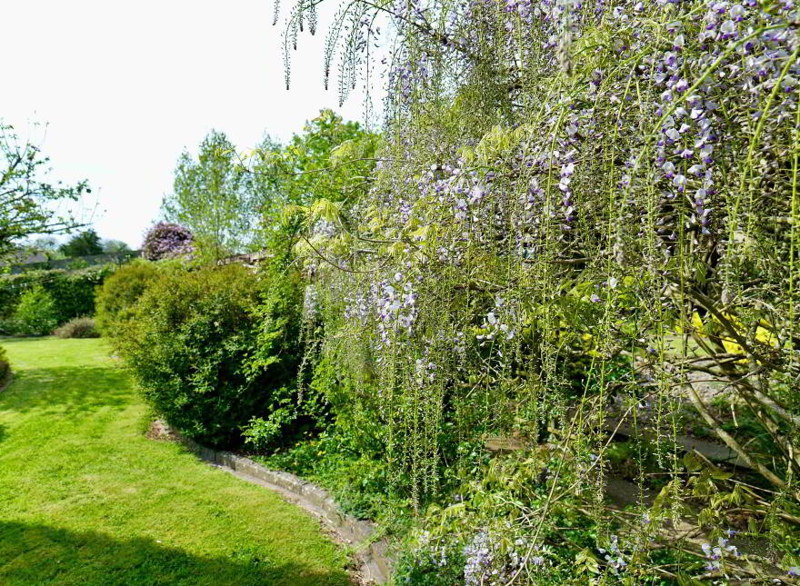 Smiths Road, Charleville, P56AK24