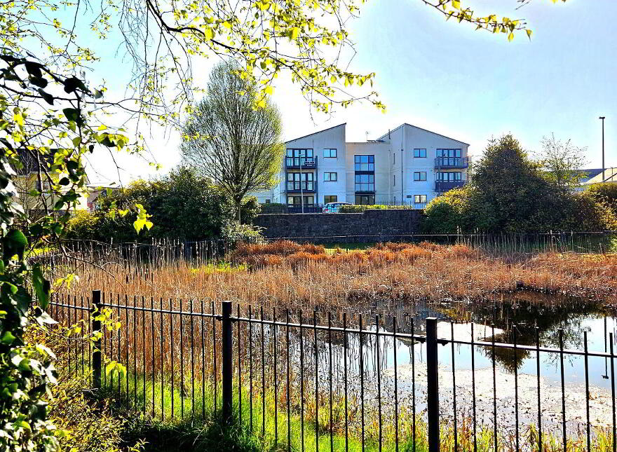 12 Mulberry Apartments, River Village, Monksland, Athlone, N37HC96 photo