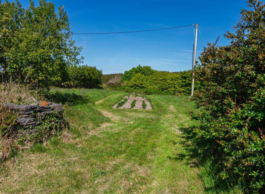 Lackahane, Baltimore, P81KF63