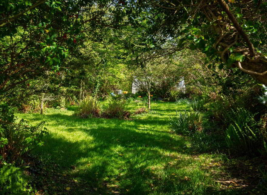 Lackahane, Baltimore, P81KF63