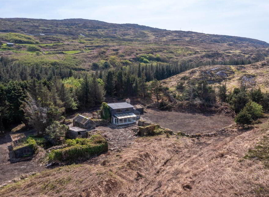 Ballyroon Mountain, Kilcrohane, P75H722