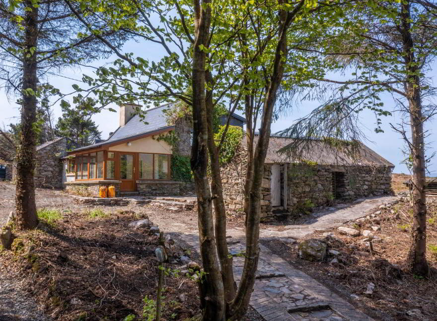 Ballyroon Mountain, Kilcrohane, P75H722