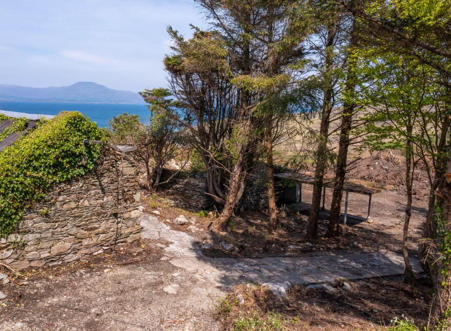 Ballyroon Mountain, Kilcrohane, P75H722